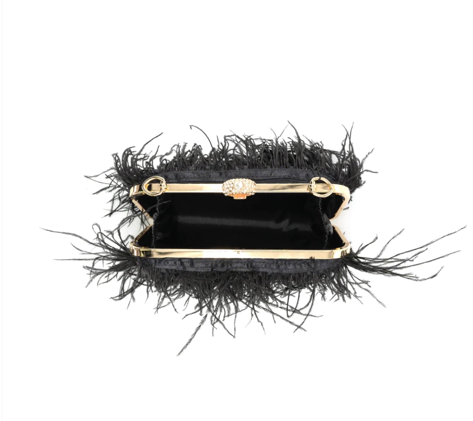 Feather Evening Bag - Fly VSJ, Women's Clothing and Fashion Accessories