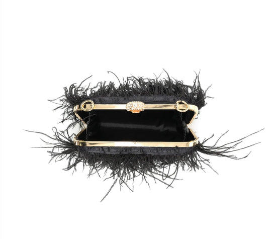 Feather Evening Bag - Fly VSJ, Women's Clothing and Fashion Accessories