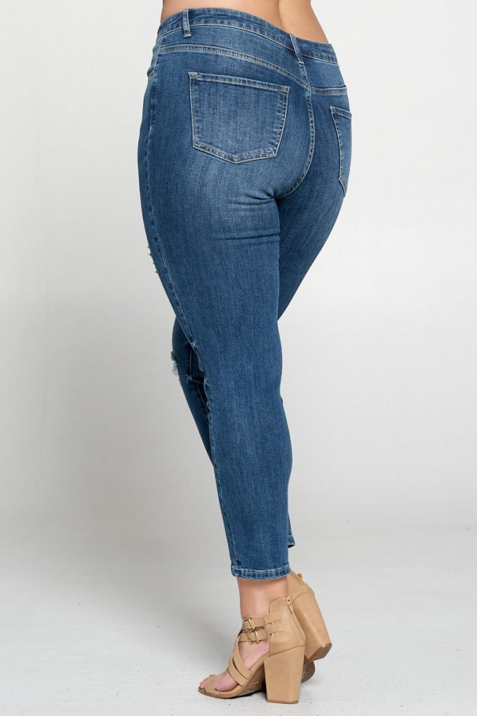 Tonya Curvy High Rise Distressed Skinny Jean